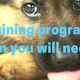 Illustration for article titled House Training Your Puppy – Dog Trainers in Spring Hillem/em